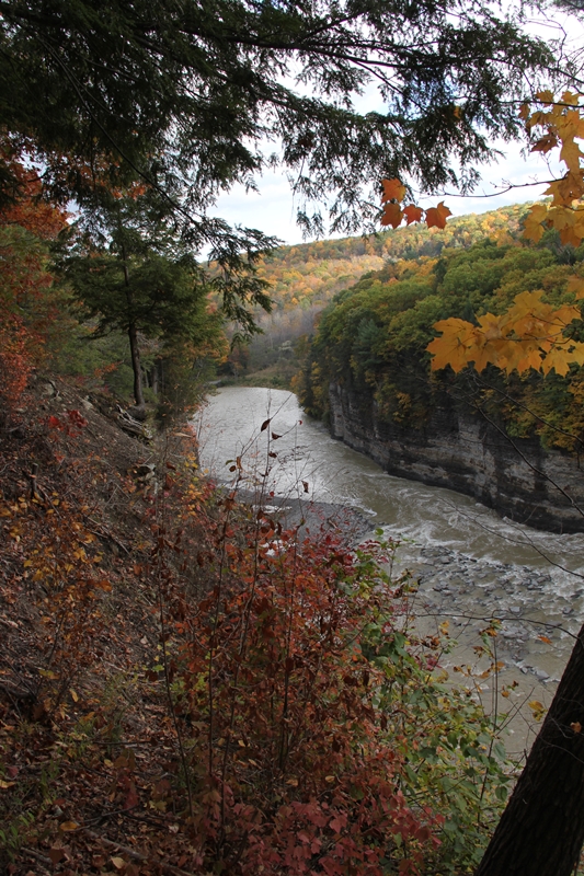 slideshow